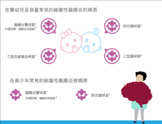 香港安苗HKPV：防范“致命杀手”脑膜炎，从接种疫苗开始