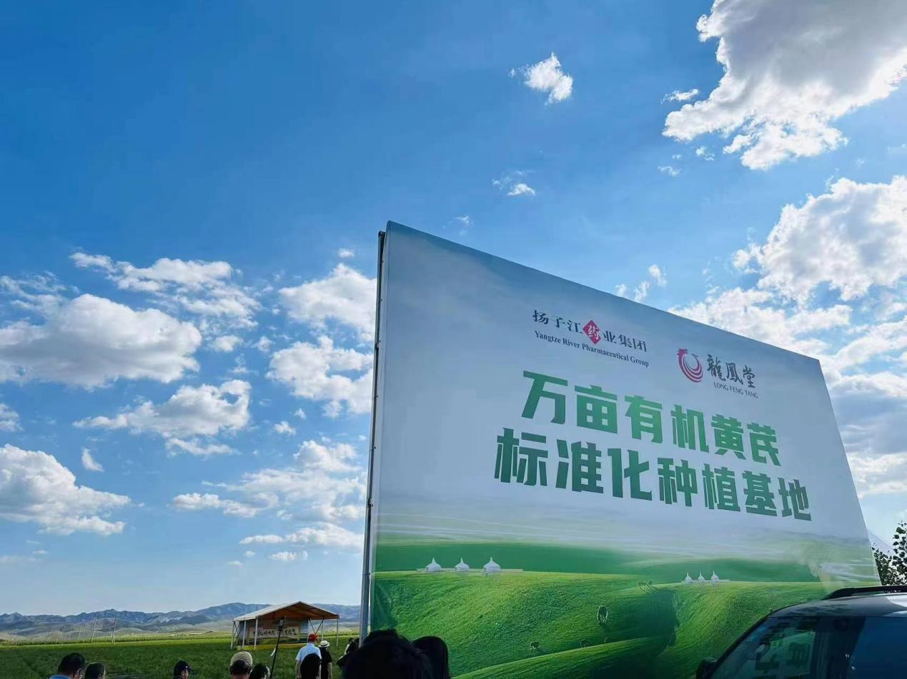 扬子江药业集团黄芪(有机)标准化种植基地 扬子江药业集团供图